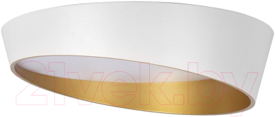 Потолочный светильник Loftit Coin 10199 - фото