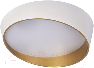 Потолочный светильник Loftit Coin 10199