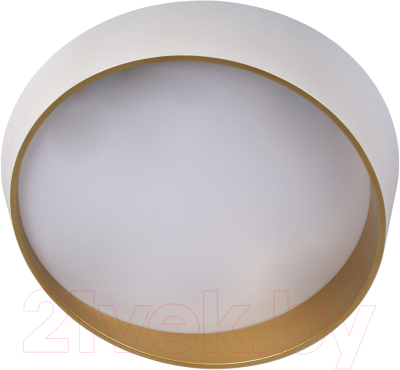 Потолочный светильник Loftit Coin 10199