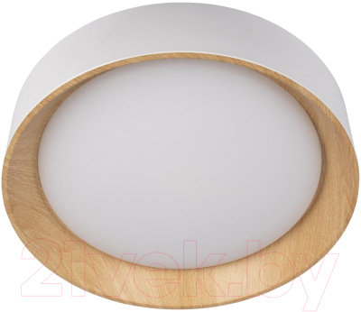 Потолочный светильник Loftit Coin 10202 (белый)