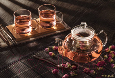 Заварочный чайник Wilmax Thermo WL-888813/A