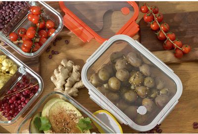 Контейнер Smart Solutions SFE-SS-CN-GLS-GR-1