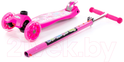 Самокат детский Полесье 0072-V1(М)