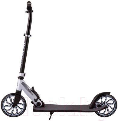 Самокат городской Maxiscoo Ocean 2023 / MSC-OB-2301