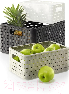 Корзина Rotho Country A6+ / 1165508853