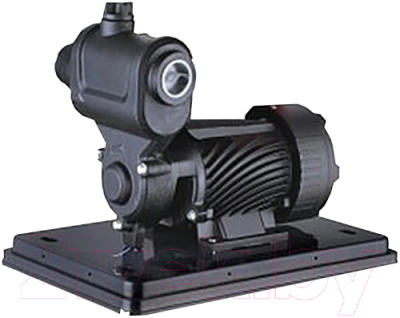 Насосная станция Pumpman TGP550N - фото