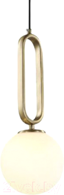 Потолочный светильник Imperiumloft Vital01 / 141143-26 - фото