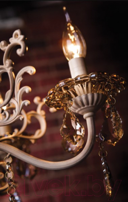 Люстра Евросвет Elisha 3281/5