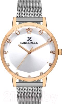 Часы наручные женские Daniel Klein 13406-6 - фото