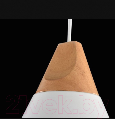 Потолочный светильник Maytoni Bicones P359-PL-01-W / MOD359-01-W