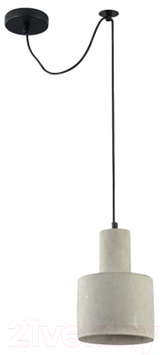 Потолочный светильник Maytoni Broni T439-PL-01-GR - фото