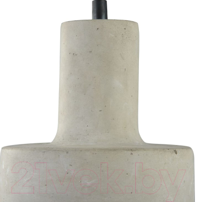 Потолочный светильник Maytoni Broni T439-PL-01-GR