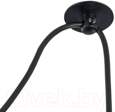 Потолочный светильник Maytoni Broni T439-PL-01-GR