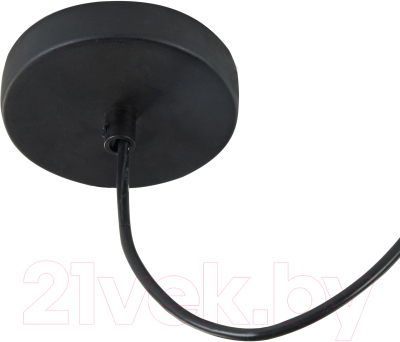 Потолочный светильник Maytoni Broni T439-PL-01-GR