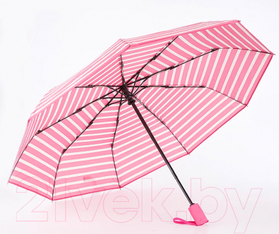 Зонт складной Rain Berry 734-1310