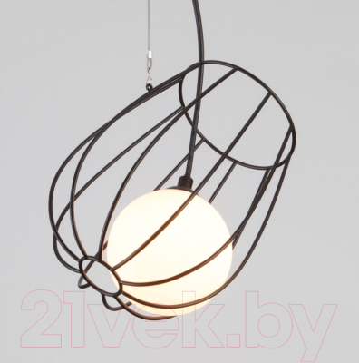 Потолочный светильник Евросвет Basket 50138/1 (черный)