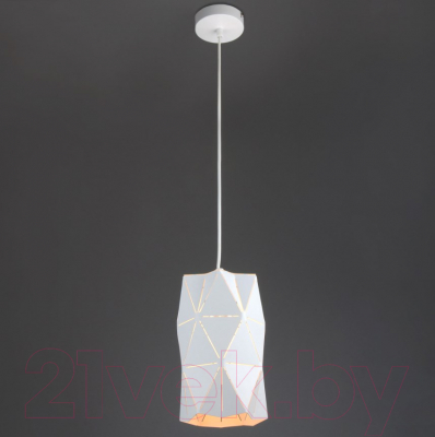 Потолочный светильник Евросвет Reprise 50145/1 (белый) - фото