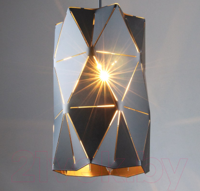 Потолочный светильник Евросвет Reprise 50145/1