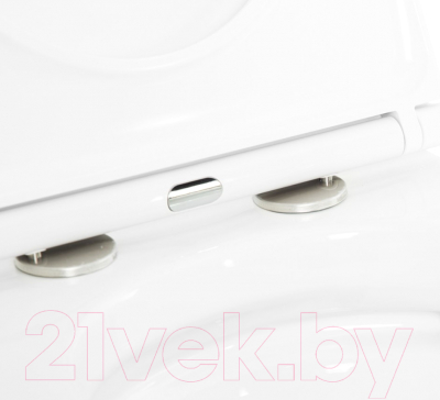 Унитаз подвесной Cezares CZR-6601-TH-TOR/CZR-870-SC