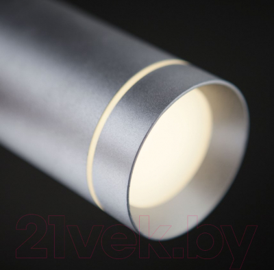 Потолочный светильник Евросвет Topper DLR023