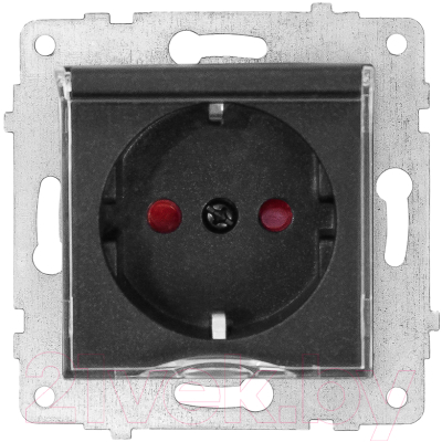 Розетка Ovivo 600-000317-243 - фото