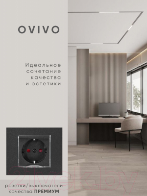 Розетка Ovivo 600-000317-243