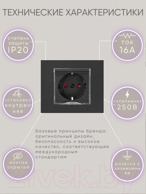 Розетка Ovivo 600-000317-243