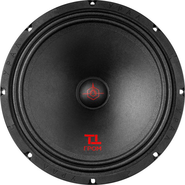 Среднечастотная АС Урал TT 250 Гром - фото