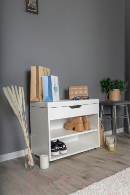 Тумба в прихожую Премиум София-3 (белый)