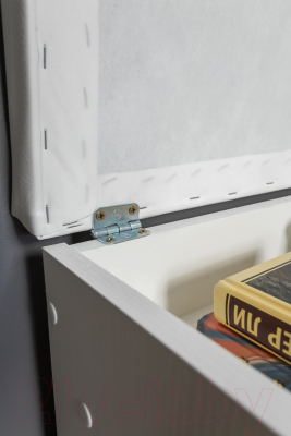 Тумба в прихожую Премиум София-4 (белый)