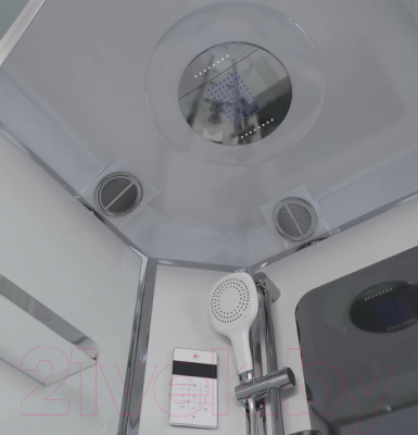 Душевая кабина Niagara NG-310-01R 120x80x220