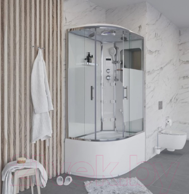 Душевая кабина Niagara NG-310-01R 120x80x220