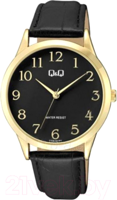 Часы наручные мужские Q&Q C10AJ021Y - фото