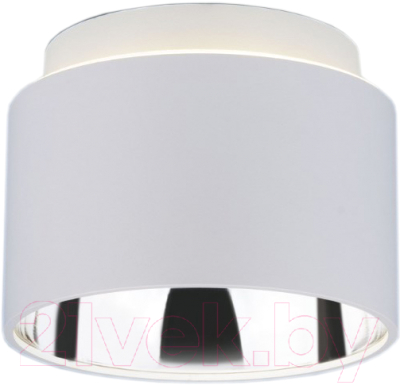 Точечный светильник Elektrostandard 1069 GX53 WH - фото