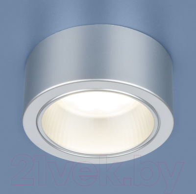 Точечный светильник Elektrostandard 1070 GX53 SL