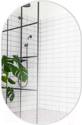 Зеркало Azario AZ-Z-010CS - фото