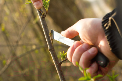 Нож садовый Cellfast 40-262