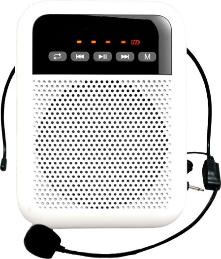 Портативная акустика LAudio WS-VA030 - фото