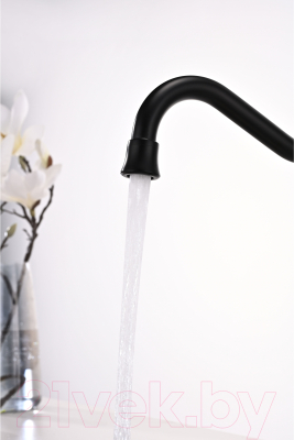 Смеситель Paulmark Retro Re213226-401