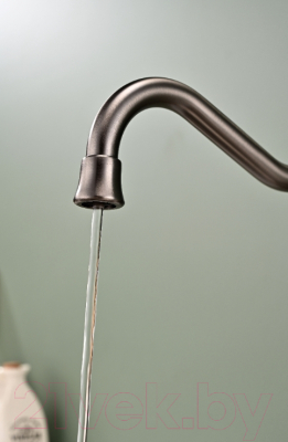 Смеситель Paulmark Retro Re213226-GM (вороненая сталь)