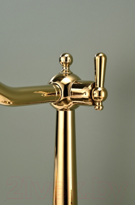 Смеситель Paulmark Retro Re213226-G