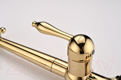 Смеситель Paulmark Retro Re213226-G