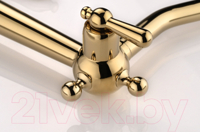 Смеситель Paulmark Retro Re213226-G