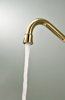 Смеситель Paulmark Retro Re213226-G