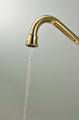 Смеситель Paulmark Retro Re213226-G