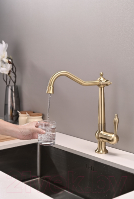 Смеситель Paulmark Retro Re213226-G