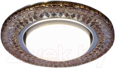 Точечный светильник Elektrostandard 3021 GX53 GC - фото