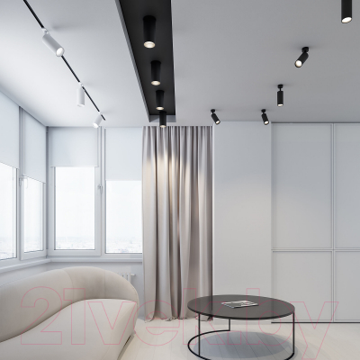 Потолочный светильник Elektrostandard Diffe 85580/01 (черный)