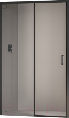 Душевая дверь RGW PA-017-B / 350801714-14 - фото