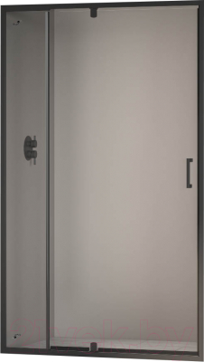 Душевая дверь RGW PA-008-B / 350800812-14 - фото